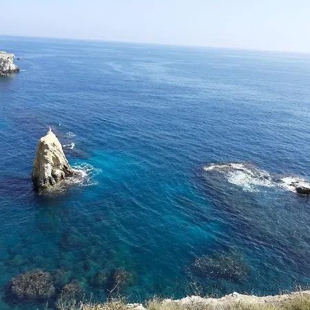 Two Face シラクーサ